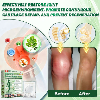 Once Daily, Visible Changes in 7 Days 👩‍⚕️𝐇𝐞𝐚𝐥𝐫𝐢𝐳𝐞® 𝑴𝒐𝒓𝒊𝒏𝒈𝒂 & 𝑩𝒆𝒓𝒃𝒆𝒓𝒊𝒏𝒆 10-𝑰𝑵-1 𝑨𝒅𝒗𝒂𝒏𝒄𝒆𝒅 𝑵𝒂𝒏𝒐 𝑴𝒊𝒄𝒓𝒐𝒏𝒆𝒆𝒅𝒍𝒆 𝑷𝒂𝒕𝒄𝒉 🏅 𝐎𝐛𝐞𝐬𝐢𝐭𝐲, 𝐃𝐢𝐚𝐛𝐞𝐭𝐞𝐬, 𝐒𝐥𝐞𝐞𝐩 𝐀𝐩𝐧𝐞𝐚, 𝐀𝐧𝐝 𝐉𝐨𝐢𝐧𝐭 𝐈𝐬𝐬𝐮𝐞𝐬🏆🌵 02